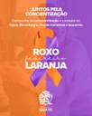 Fevereiro Laranja e Roxo 🧡💜